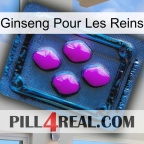 Ginseng For Kidney 04